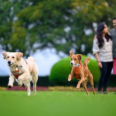 Nature Trails Sajan, Vikramgad Kudan Экстерьер фото