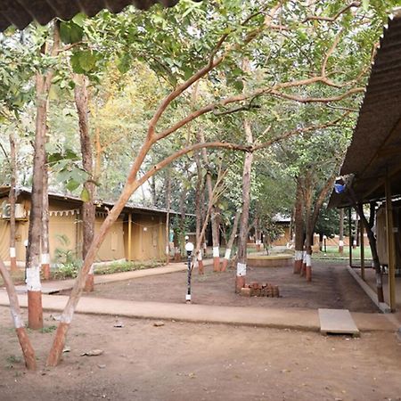 Nature Trails Sajan, Vikramgad Kudan Экстерьер фото